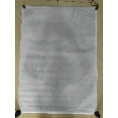 沃金办理假驾驶证